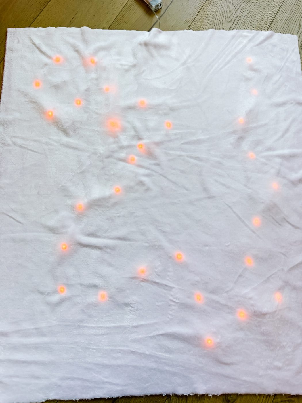 Step 20: Add and secure the fairy lights